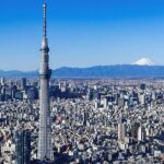 Private Full Day Tour Around Tokyo Like a Local - What’s Included & What’s Not