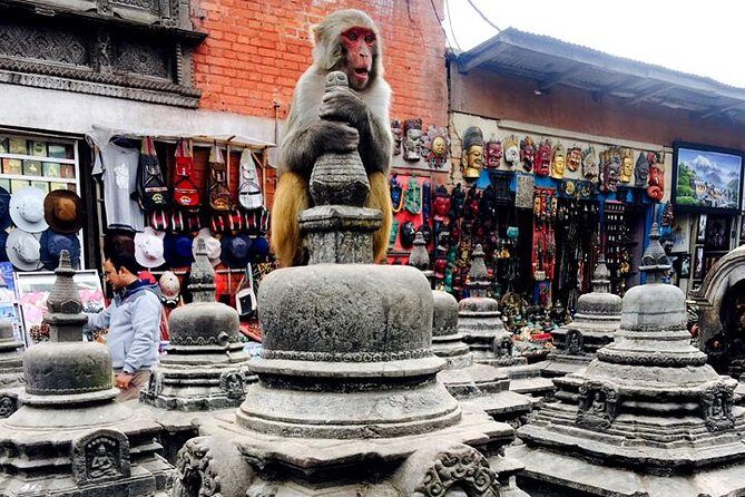 Private Full-Day Tour of Buddhist Temples in Kathmandu - Authentic Encounters and Practical Insights