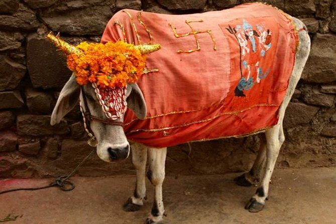 Private Full Day Tour of Haridwar and Rishikesh from Delhi - Practical Details and Value