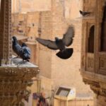 Private Full-Day Tour of Jaisalmer with Guide - Authentic Experiences from Reviews