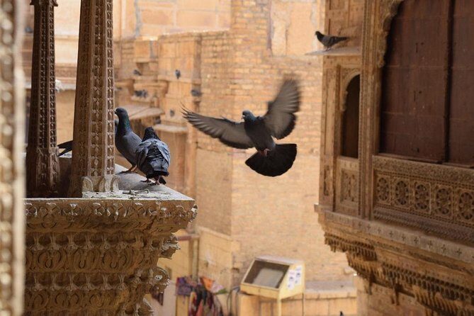 Private Full-Day Tour of Jaisalmer with Guide - Authentic Experiences from Reviews