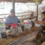 Private Full-Day Trip to Doiinthanon National Park - A Detailed Breakdown of the Itinerary