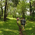 Private Full Day Wild Trails at Thekkady - What’s Included and What to Consider