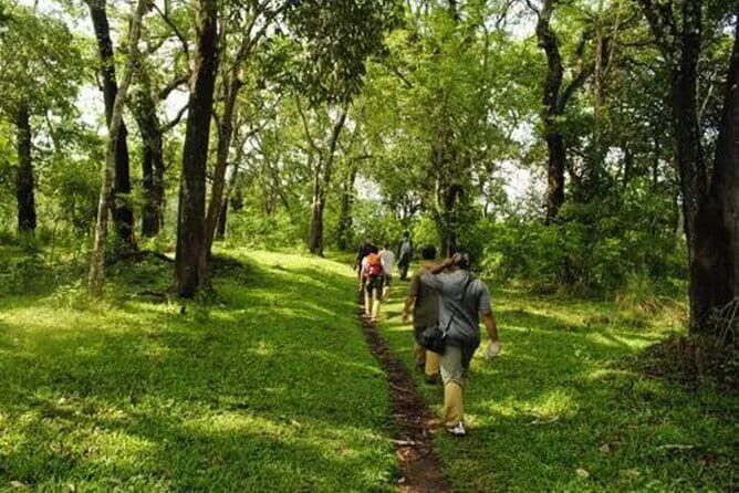 Private Full Day Wild Trails at Thekkady - What’s Included and What to Consider