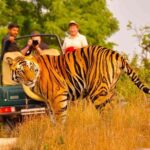 Private Golden Triangle Delhi Agra Jaipur with Ranthambore - What Does This Tour Offer That Others Might Not?