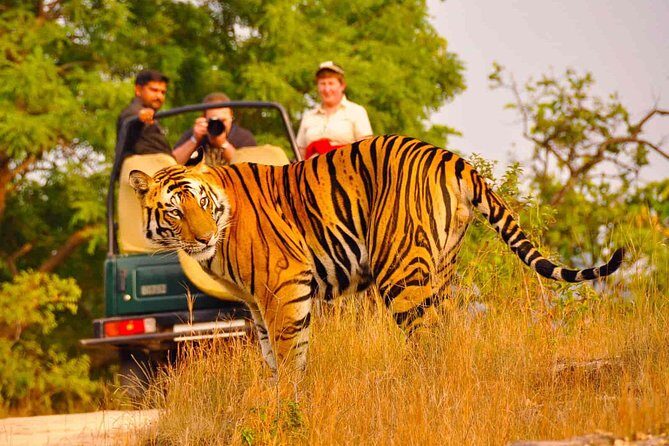 Private Golden Triangle Delhi Agra Jaipur with Ranthambore - What Does This Tour Offer That Others Might Not?