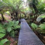 Private Great Ocean Road & 12 Apostles Experience - Who Is This Tour Best For?