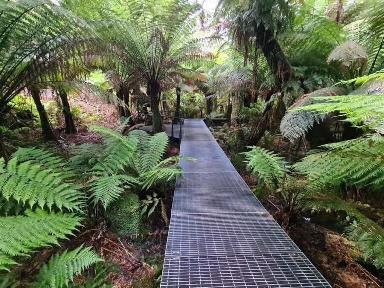 Private Great Ocean Road & 12 Apostles Experience - Who Is This Tour Best For?