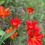 Private Guided Alamedin Gorge Tour - Who Will Enjoy This Tour?