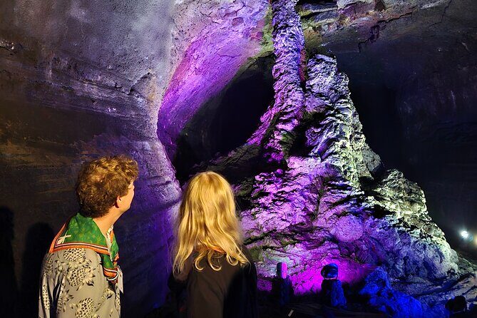 Private Guided Car Tour in Jeju Island - Transportation & Logistics