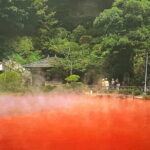 Private Guided Full Day Usa Shrine and Jigoku tour - FAQ