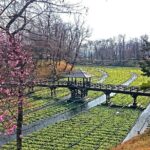 Private Guided Half Day Tour Visit in Nagano - A Closer Look at the Itinerary