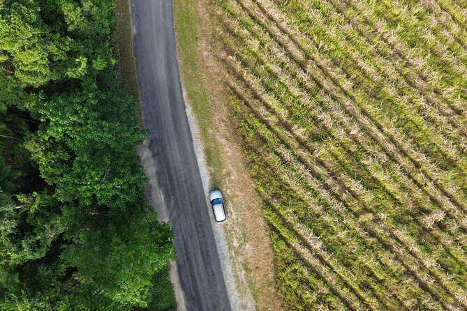 Private Guided Tour in Port Douglas and Surrounds - FAQ: Your Practical Questions Answered