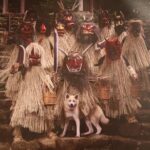 Private Half Day Akita Namahage Tour with Licensed Guide - What’s Included and How It Works