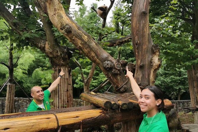 Private Half Day Panda Volunteer Tour - Final Thoughts: Who is This Tour For?