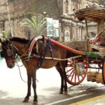 Private Half-Day Shore Excursion Old Manila by Calesa - The Value of This Tour