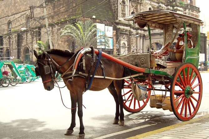 Private Half-Day Shore Excursion Old Manila by Calesa - The Value of This Tour