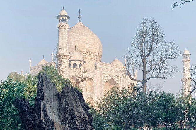 Private Half Day Tour in TajMahal with Chai - Who is This Tour Best For?