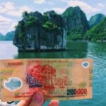 Private Halong Bay Day Tour: Transfer, Lunch, Guide, Entrance Fee - What’s Included and What’s Not