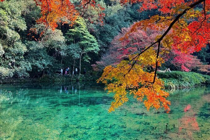 Private Hangzhou Car and Walking Tour - Who Will Love This Tour?