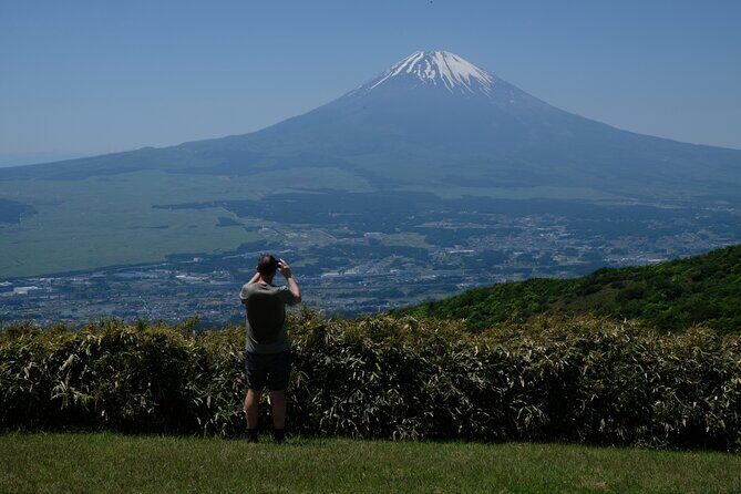 Private Hiking Tour with a certified national guide in Hakone - The Value of a Private Guided Hakone Hike