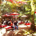 Private Historic Road Hike in the Healing Forest of Arima - The Practicalities and Value