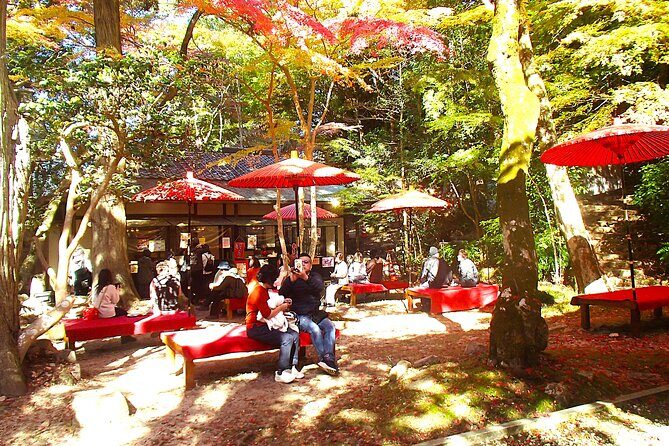 Private Historic Road Hike in the Healing Forest of Arima - The Practicalities and Value