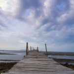 Private Ho Chi Minh City Highlights and Nature Escape Tour - Can Gio Mangrove Biosphere Reserve