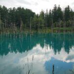 Private Hokkaido Guided 5 Day Tour with Transportation - Detailed Breakdown of the Itinerary