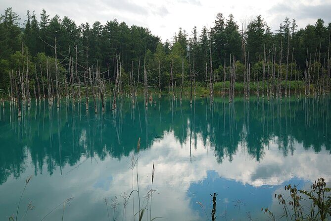 Private Hokkaido Guided 5 Day Tour with Transportation - Detailed Breakdown of the Itinerary