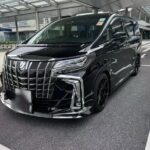 Private Hong Kong Full Day Car Charter Explore City at your Pace - Practical Tips for Your Tour