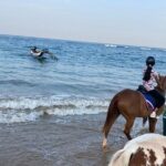 Private Horse Riding in Mount Lavinia - Exploring the Experience in Detail
