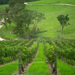 Private Hunter Valley Wine Tour from Sydney Tasting Day Trip - What’s Included and What’s Not