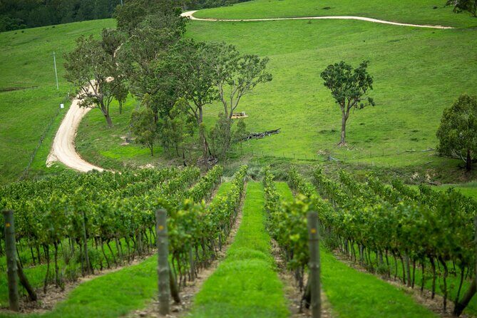 Private Hunter Valley Wine Tour from Sydney Tasting Day Trip - What’s Included and What’s Not