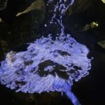 Private Ijen & Bromo Tour : starts from Surabaya/malang - A Closer Look at the Itinerary