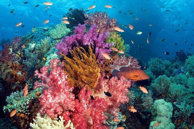 Private Island Tour by Canoe and Cable Car - Experience Quality and Practicalities