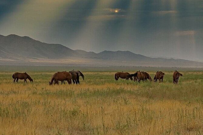 Private Issyk Kul Adventure and Karakol Skiing - FAQs