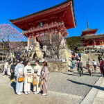 Private Japan Osaka 10 Days Experience - What Sets This Tour Apart