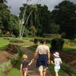 Private Kandy Day Tour from Colombo - What’s Included and What’s Not