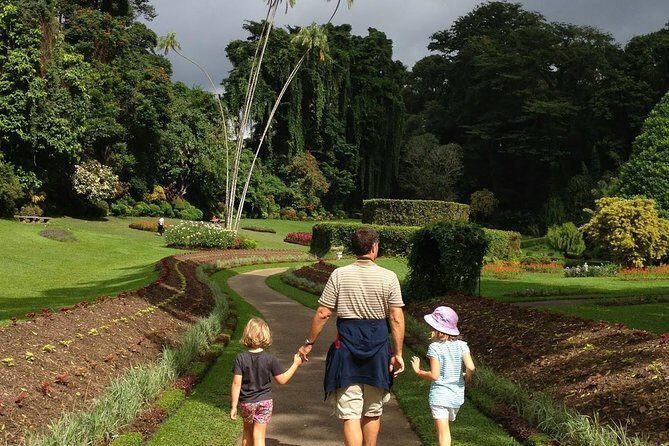 Private Kandy Day Tour from Colombo - What’s Included and What’s Not
