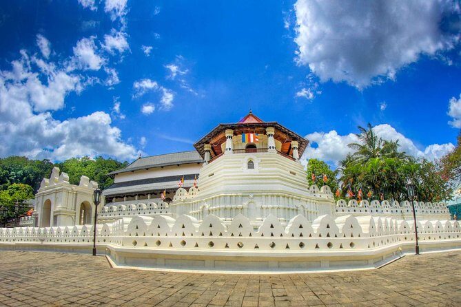 Private Kandy Day Tour From Negombo - Authentic Experiences and Honest Insights from Reviewers
