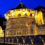 Private Kandy Hotel To Colombo City Hotel Transfer - Why This Transfer Is a Good Choice