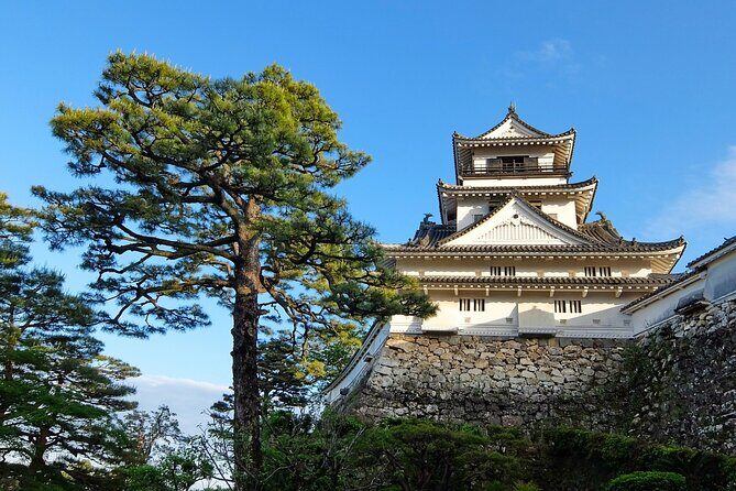 Private Kochi Shore Excursion - Who Will Enjoy This Tour?