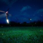 Private Kuala Selangor Firefly Day Trip Include Dinner &Boat Ride - Altingsburg Lighthouse: A Historical Landmark