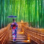 Private Kyoto-Nara Tour from Osaka with Hotel Pickup and Drop off - Who Would Enjoy This Tour?
