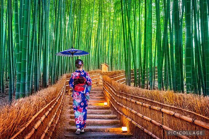 Private Kyoto-Nara Tour from Osaka with Hotel Pickup and Drop off - Who Would Enjoy This Tour?