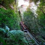 PRIVATE LUXURY BLUE MOUNTAINS ADVENTURE | FROM SYDNEY - The Experience of a Private Guide