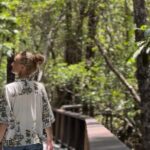 Private Luxury Cape Tribulation Adventure and Crocodile Cruise - The Value of This Tour