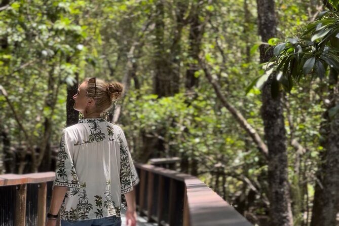 Private Luxury Cape Tribulation Adventure and Crocodile Cruise - The Value of This Tour