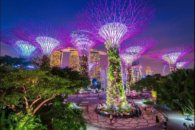 Private Memorable Night City Tour in Singapore - Transportation & Practicalities